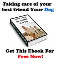 Free download download-ebbok free photo or picture to be edited with GIMP online image editor