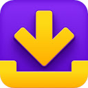 Download Manager Pro  screen for extension Chrome web store in OffiDocs Chromium