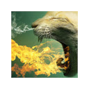 Dragon Cat breathing fire  screen for extension Chrome web store in OffiDocs Chromium