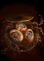 Free download Dragon Egg Vision free photo or picture to be edited with GIMP online image editor