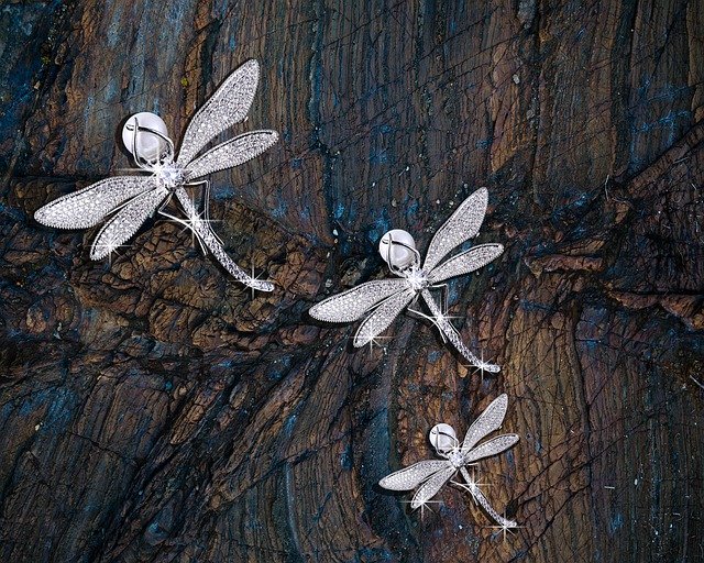 Free download Dragonflies Wood Pearl -  free illustration to be edited with GIMP free online image editor