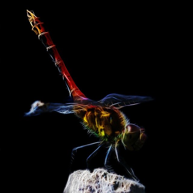 Free download Dragonfly Abstract Fractalius -  free illustration to be edited with GIMP free online image editor
