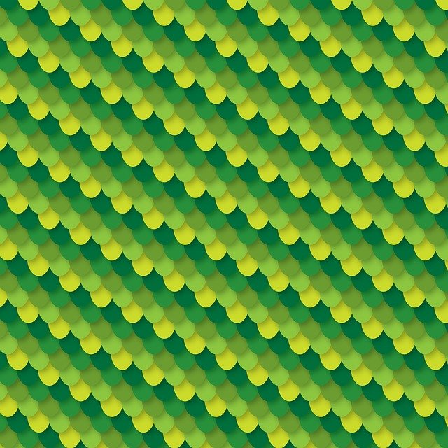 Free download Dragon Scale Scales -  free illustration to be edited with GIMP free online image editor