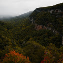 Dramatic Forest Canyon in Misty Autumn  screen for extension Chrome web store in OffiDocs Chromium