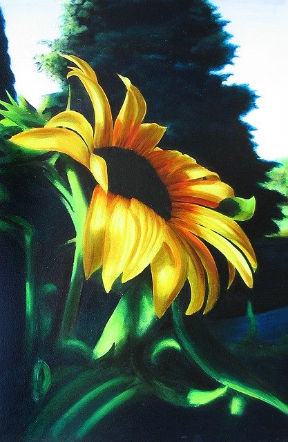 Free download Drawing Sunflower Morning -  free illustration to be edited with GIMP free online image editor