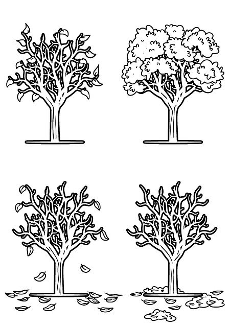Free picture Drawing Tree Seasons -  to be edited by GIMP free image editor by OffiDocs