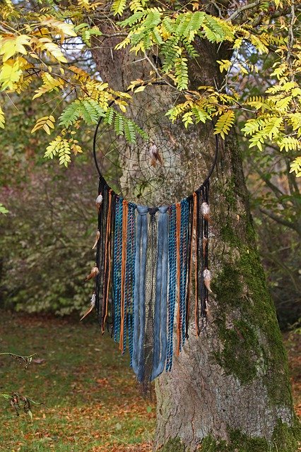 Free download Dream Catcher Arboretum Old Tree -  free free photo or picture to be edited with GIMP online image editor