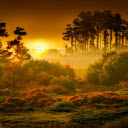 dreamy sunrise in the tropical rainforest  screen for extension Chrome web store in OffiDocs Chromium
