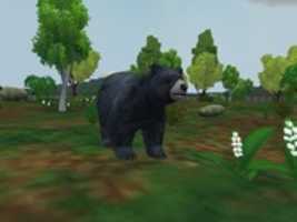Free download DreamZoo2 - American Black Bear (Makaio) free photo or picture to be edited with GIMP online image editor