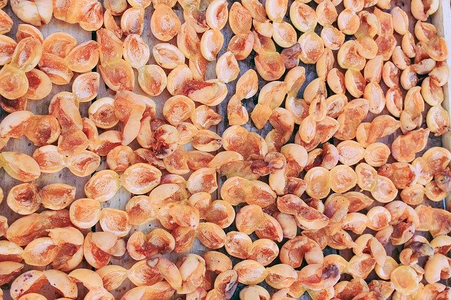 قم بتنزيل Dried Apricots Apricot مجانًا - صورة مجانية أو صورة لتحريرها باستخدام محرر الصور عبر الإنترنت GIMP