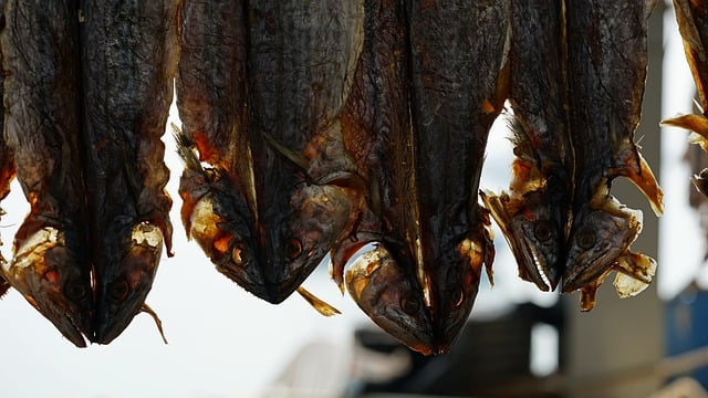 Free download dried fish fish food free picture to be edited with GIMP free online image editor