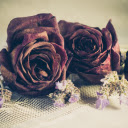 Dried flowers  screen for extension Chrome web store in OffiDocs Chromium