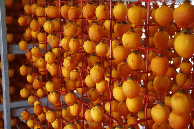 Free download dried persimmon haman dried persimmon free picture to be edited with GIMP free online image editor