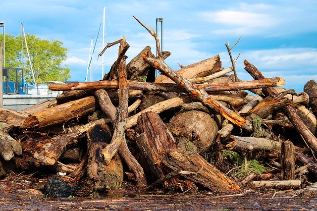 Ücretsiz indir Driftwood Wood Nature - GIMP çevrimiçi resim düzenleyiciyle düzenlenecek ücretsiz fotoğraf veya resim