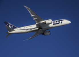 Free download Drimek Tokyo free photo or picture to be edited with GIMP online image editor