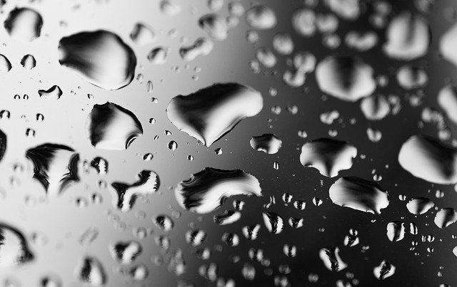 Descarga gratuita Drip Raindrop Water: foto o imagen gratuita para editar con el editor de imágenes en línea GIMP