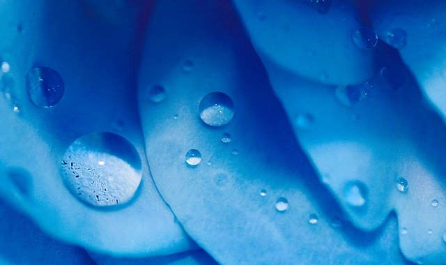 무료 다운로드 물방울 배경 드롭 - 김프 온라인 이미지 편집기로 편집할 무료 사진 또는 그림