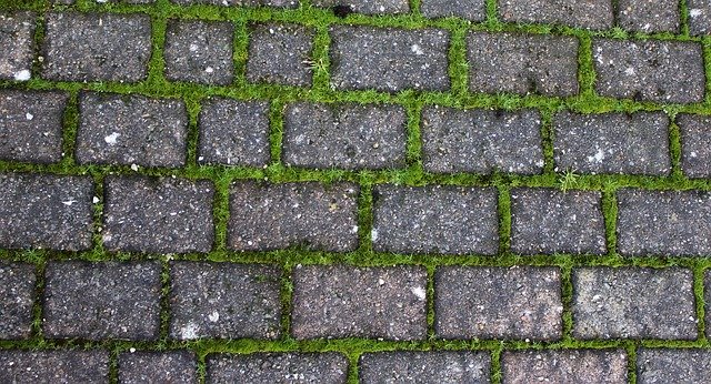 Free picture Driveway Brick Stone -  to be edited by GIMP free image editor by OffiDocs