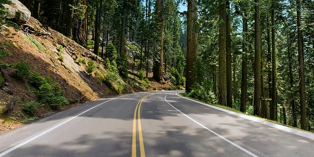 Muat turun percuma Driving Paved Road Roadway - foto atau gambar percuma untuk diedit dengan editor imej dalam talian GIMP