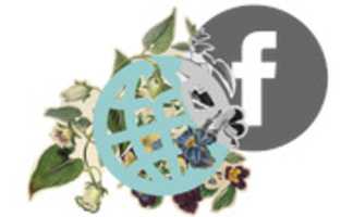 Free download DRL Facebook Mundo Planta 2 ( 4 2015) free photo or picture to be edited with GIMP online image editor