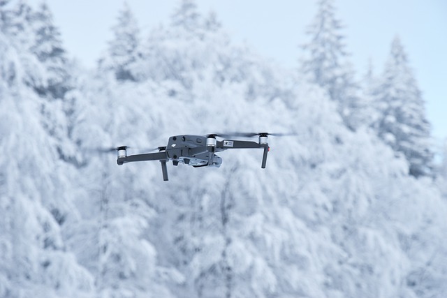 Free download drone snow mavic 2 pro dji free picture to be edited with GIMP free online image editor