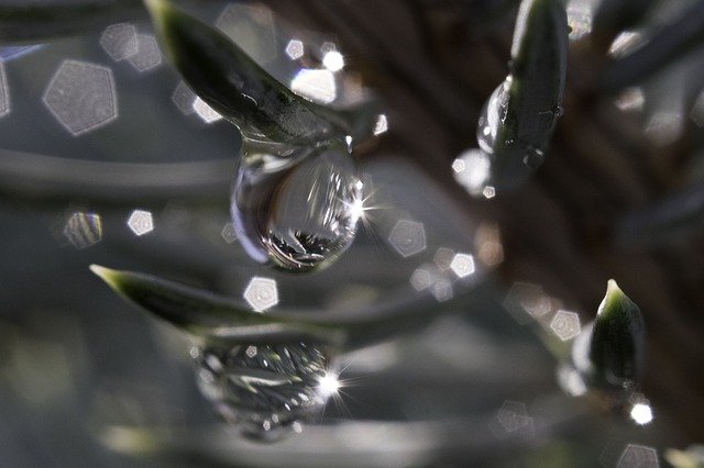 Free download drop h2o nature reflection desktop free picture to be edited with GIMP free online image editor