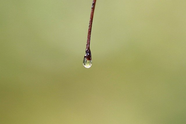 Muat turun percuma Drop Pearl Water - foto atau gambar percuma untuk diedit dengan editor imej dalam talian GIMP