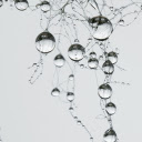 Drops of water on the wire  screen for extension Chrome web store in OffiDocs Chromium