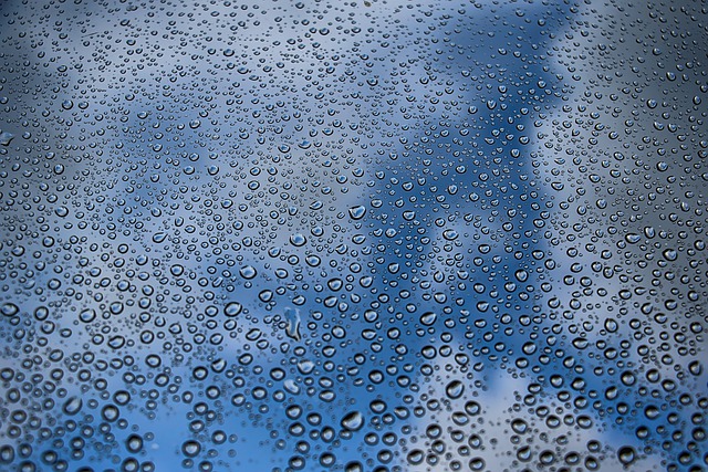 Free download drops rain liquid texture water free picture to be edited with GIMP free online image editor