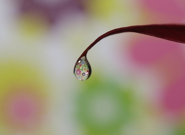 Muat turun percuma templat foto percuma Drop Water Macro untuk diedit dengan editor imej dalam talian GIMP