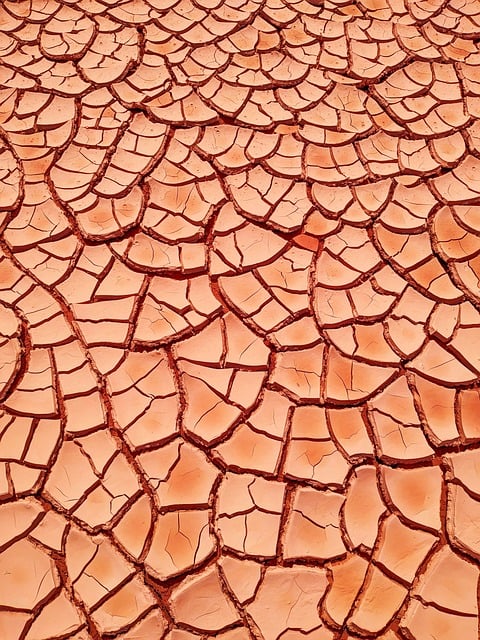 Free download drought soil pattern dry land soil free picture to be edited with GIMP free online image editor