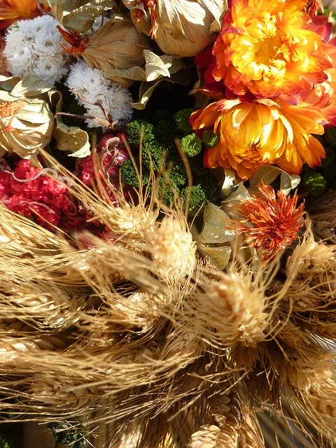 Free download Dry Bouquet Autumn Flowers -  free photo or picture to be edited with GIMP online image editor