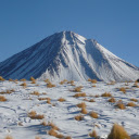 Dry grass and white snow  screen for extension Chrome web store in OffiDocs Chromium