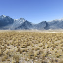 Dry grass area  screen for extension Chrome web store in OffiDocs Chromium