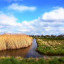 Dry grass field  screen for extension Chrome web store in OffiDocs Chromium