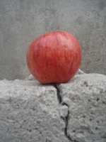 Free download DSC 00053 free photo or picture to be edited with GIMP online image editor