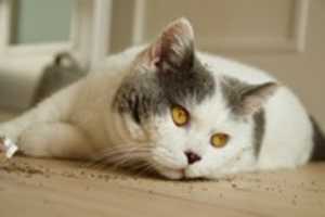 Free download DSC 03347 free photo or picture to be edited with GIMP online image editor