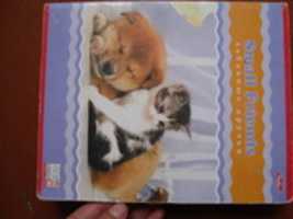 Free download DSC 03387 free photo or picture to be edited with GIMP online image editor