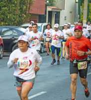 Free download DSC 0417 Original free photo or picture to be edited with GIMP online image editor