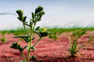 Free download DSC 0538 P free photo or picture to be edited with GIMP online image editor