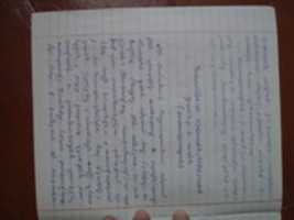 Free download DSC 05813 free photo or picture to be edited with GIMP online image editor