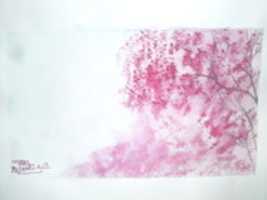 Free download DSC 05975 free photo or picture to be edited with GIMP online image editor