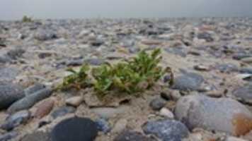 Free download DSC_0613.JPG free photo or picture to be edited with GIMP online image editor