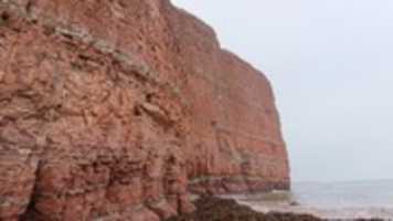 Free download DSC_0620.JPG free photo or picture to be edited with GIMP online image editor