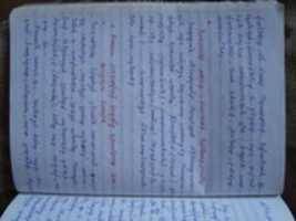 Free download DSC 08932 free photo or picture to be edited with GIMP online image editor