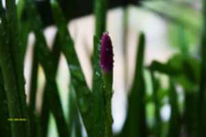 Free download DSC 0966 free photo or picture to be edited with GIMP online image editor