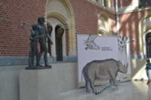 Free download DSC 1145 free photo or picture to be edited with GIMP online image editor