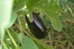 Free download DSC 1214 free photo or picture to be edited with GIMP online image editor