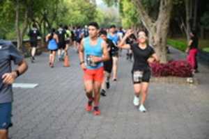 Free download DSC 1249 free photo or picture to be edited with GIMP online image editor