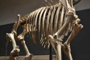 Free download DSC 1269 free photo or picture to be edited with GIMP online image editor